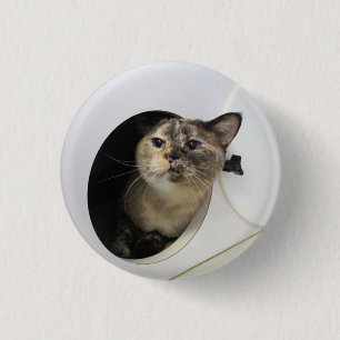 Cat 3 cm round badge