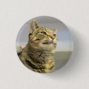 Cat   3 cm round badge