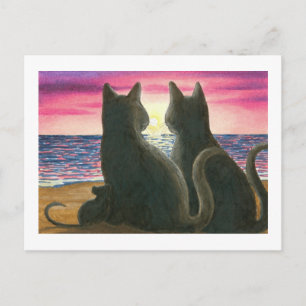 cat 434 Postcard