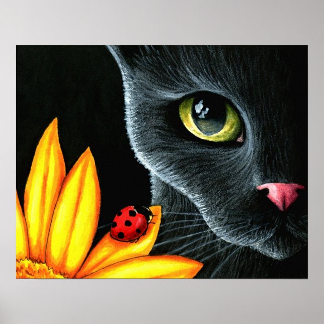 Cat 510 poster (Front)