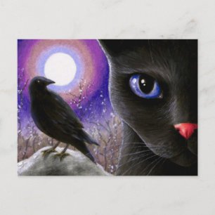 Cat 570 postcard