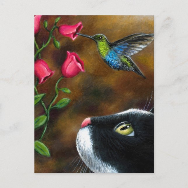 Cat 571 Tuxedo with Hummingbird Postcard (Front)