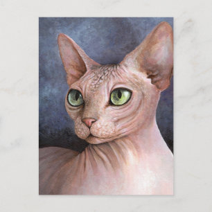 Cat 578 Sphynx Postcard