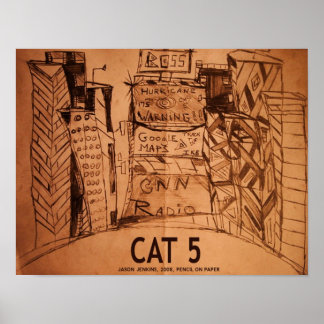 CAT 5 POSTER