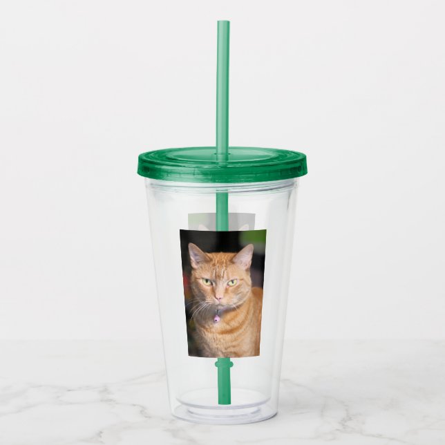 Cat Acrylic Tumbler (Front)