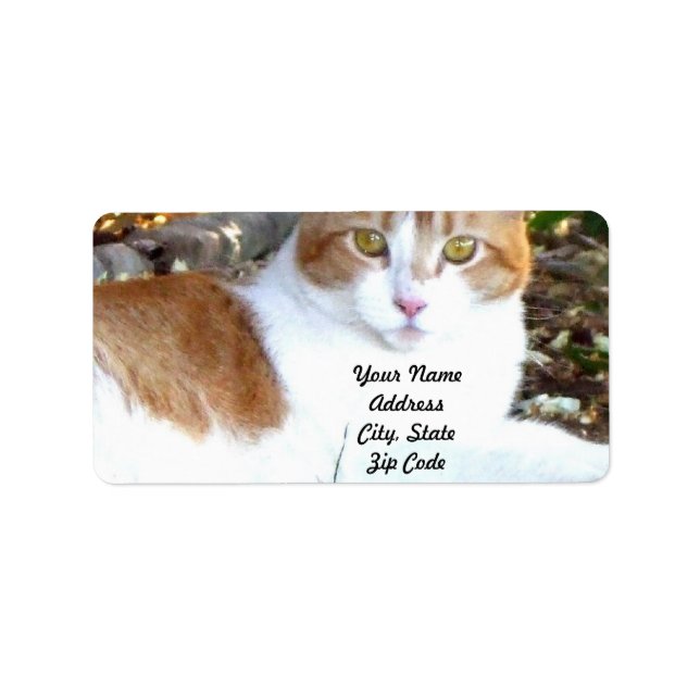 Cat Address Labels (Front)