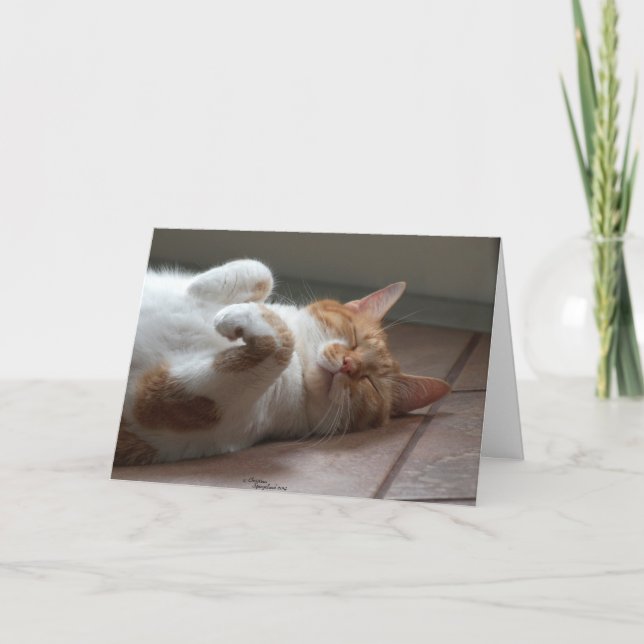 Cat adorable Thinking of you Card (Front)