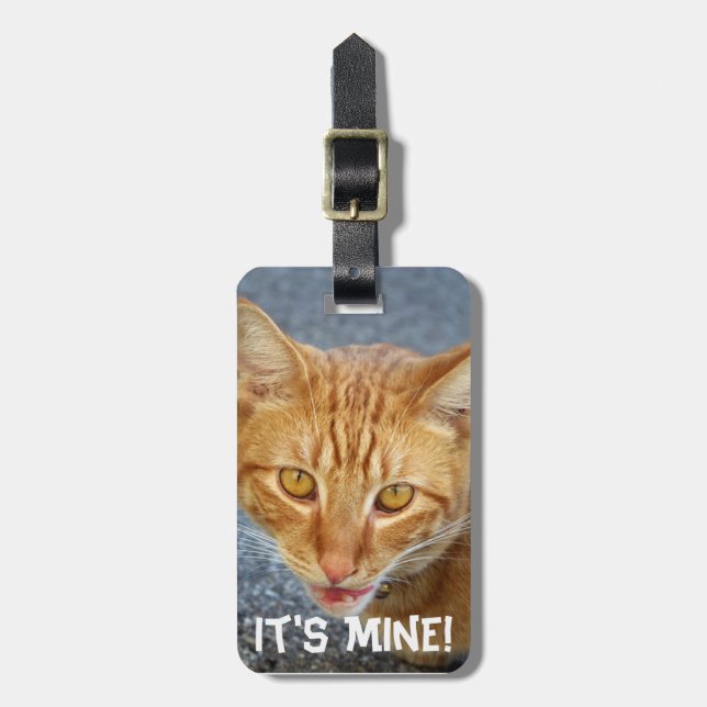 Cat Alart!_ Luggage Tag (Front Vertical)