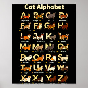 Cat alphabet funny kitten lover teacher vibe  poster