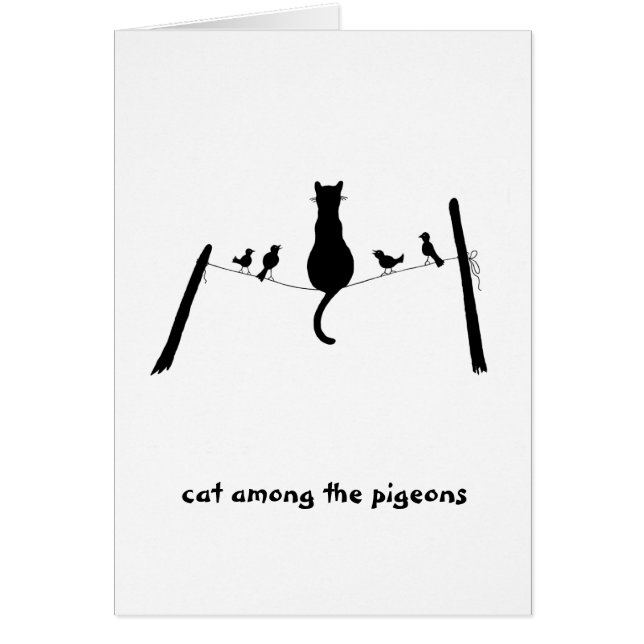 Cat among the pigeons (Front)