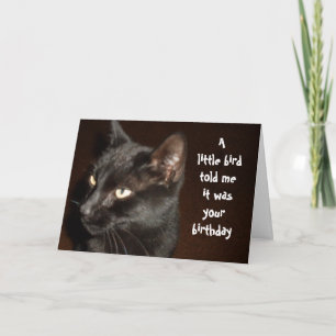 CAT AND BIRD BIRTHDAY card