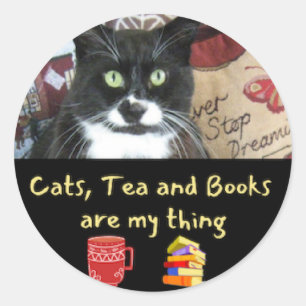 Cat and Books  Classic Round Sticker