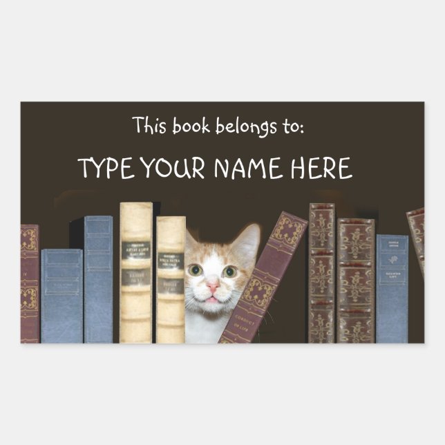 Cat and books rectangular sticker (Front)