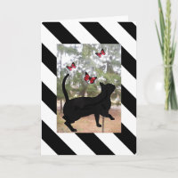 Cat and butterfly black,white striped birthday