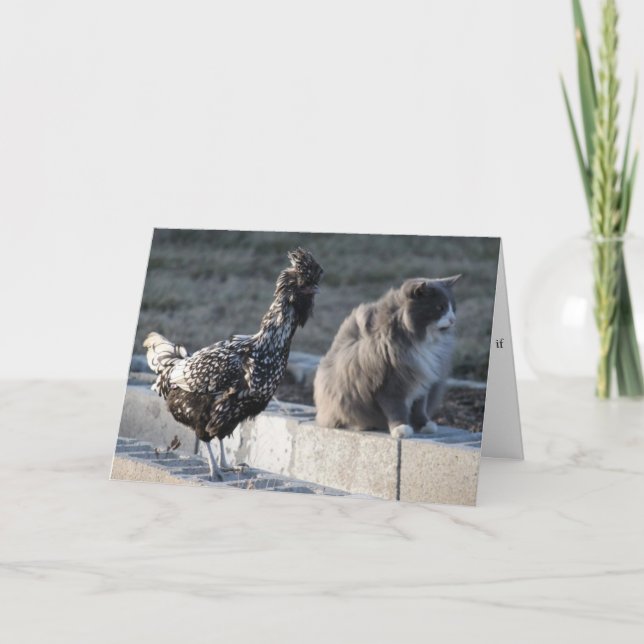 Cat and Chicken Greeting Card (Front)