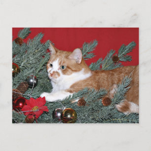 Cat and Christmas tree Holiday Postcard