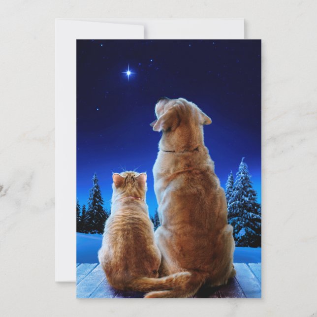 Cat and Dog Christmas Miracle Invitation (Front)