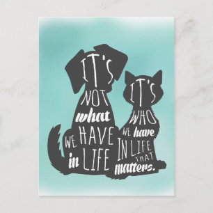 Cat and Dog Friends Best Friend Captions Postcard