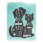 Cat and Dog Friends Best Friend Captions