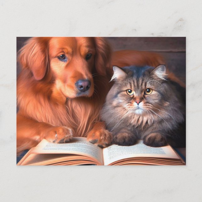 Cat and dog reading a book postcard (Front)