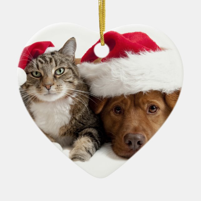 Cat and Dog Wish A Merry Christmas Ceramic Tree Decoration (Front)