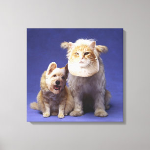 Cat and dog with masks canvas print