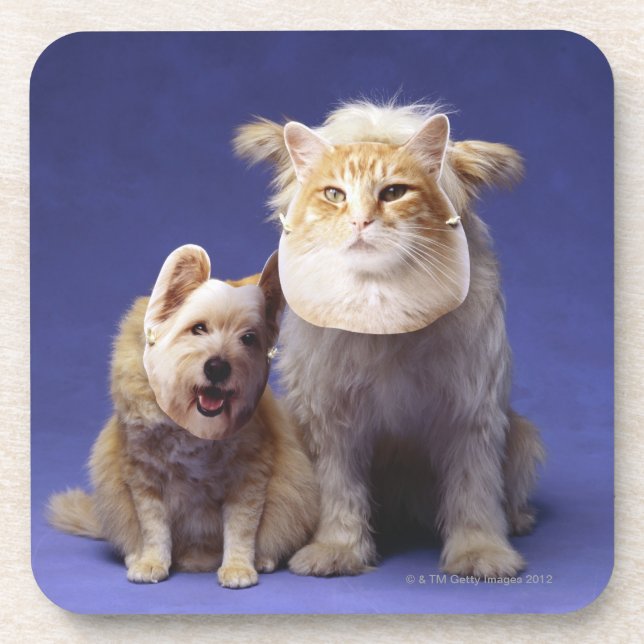 Cat and dog with masks coaster (Front)