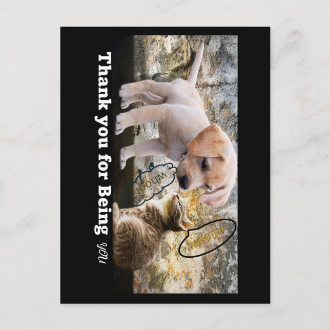 Cat and dog with text thank you postcard (Front)