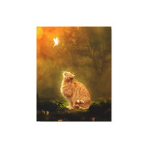 Cat And Fairy