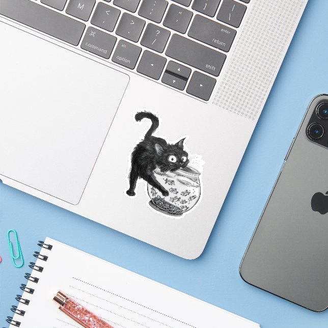 Cat and Fish (Laptop w/ iPhone)