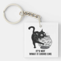 Cat and Fish