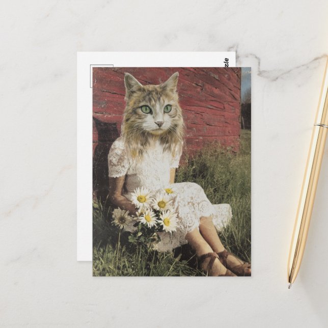 Cat and Flowers Postcard (Front/Back In Situ)