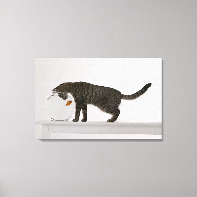 Cat and goldfish canvas print (Front)