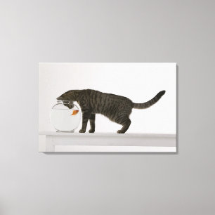 Cat and goldfish canvas print