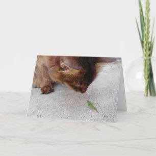 Cat and Katydid Friendship Card