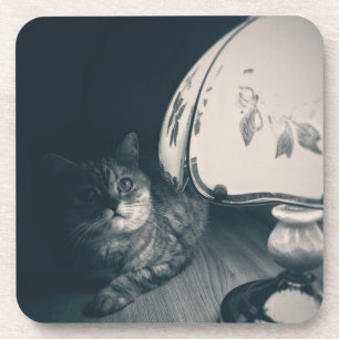 Cat and Lamp Noir Style Photograph Coaster