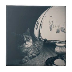 Cat and Lamp Noir Style Photograph Tile