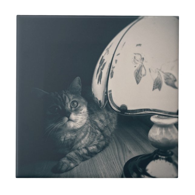 Cat and Lamp Noir Style Photograph Tile (Front)