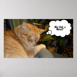 Cat and Mouse Humour Poster