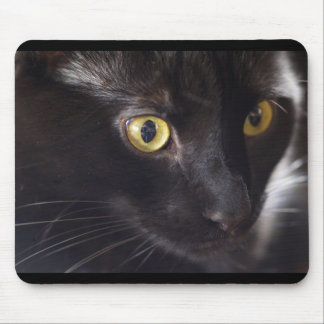 Cat and Mouse Mouse Pad