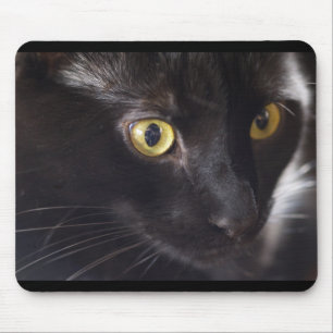 Cat and Mouse Pad