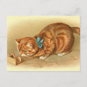 "Cat and Mouse" Postcard