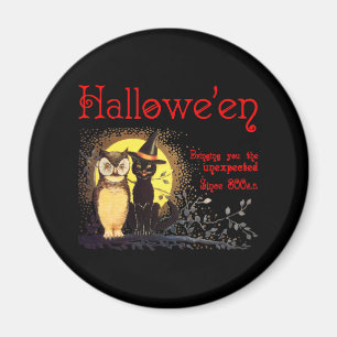 Cat and Owl Magnet