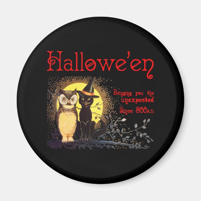 Cat and Owl Magnet (Front)