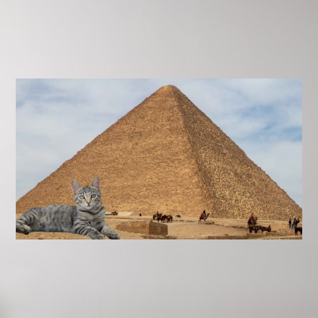Cat and Pyramid. Poster (Front)