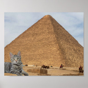 Cat and Pyramid. Poster