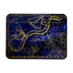 cat and snake constellation magnet