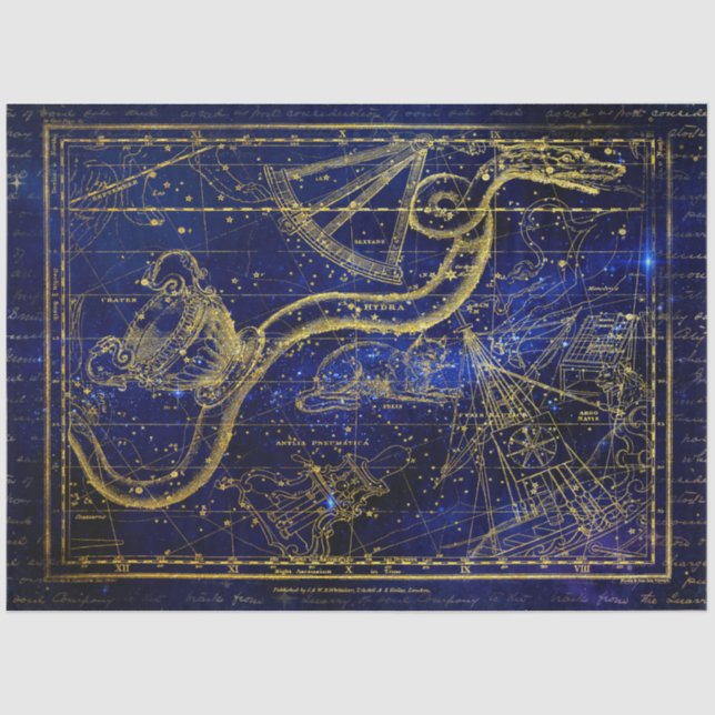 cat and snake constellation tissue paper (Front)