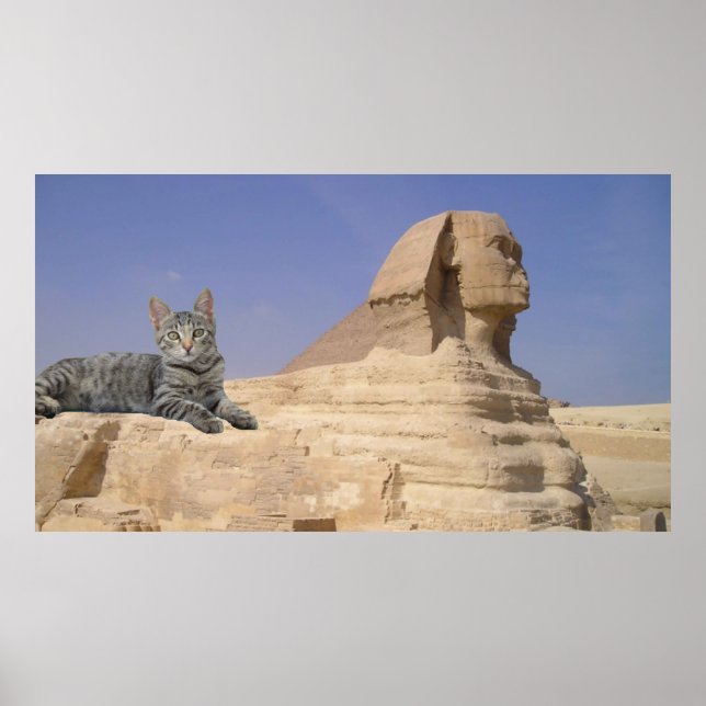 Cat and Sphinx. Poster (Front)