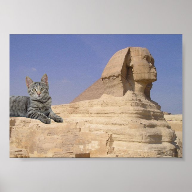 Cat and Sphinx. Poster (Front)